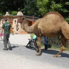 Xantus János Állatkert