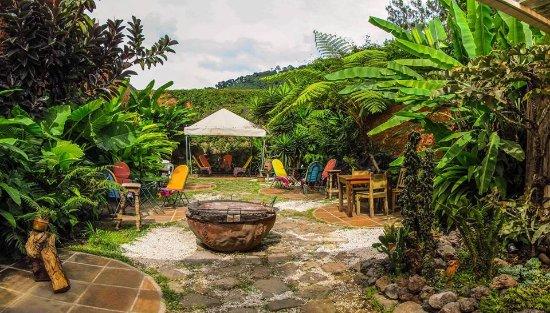 Angie Angie Cafearte