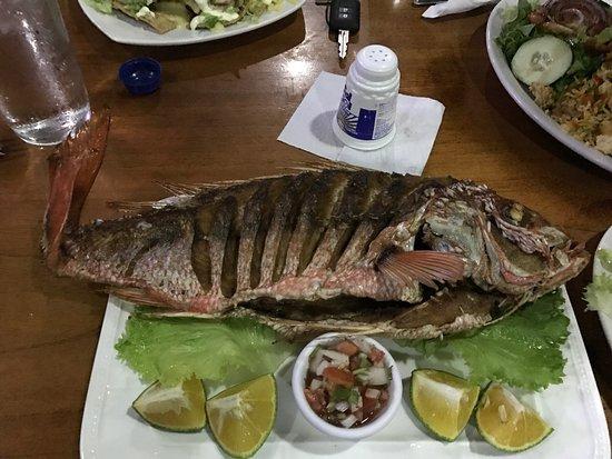 Los Troncos Bar and Restaurant