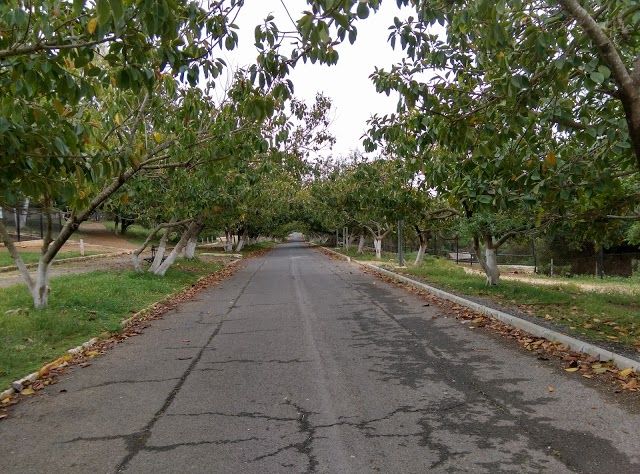 Parque de Ben Aknoun