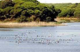 Sendero Laguna del Portil
