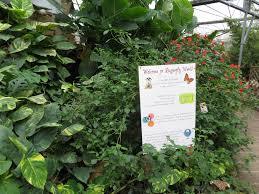 Butterfly World