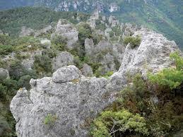 Parque natural regional de las Grands Causses