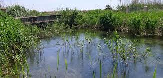 Parque natural de s'Albufera de Mallorca
