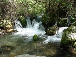 Sendero del río Majaceite