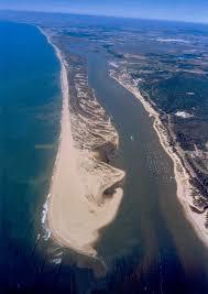 Paraje natural Marismas del Río Piedras y Flecha del Rompido