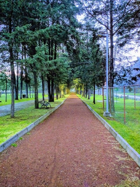 Parque Metropolitano Bicentenario