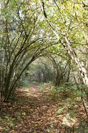 Senda de los Pescadores