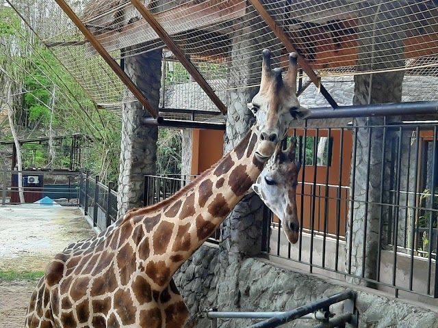 Zoológico Valle del Emperador