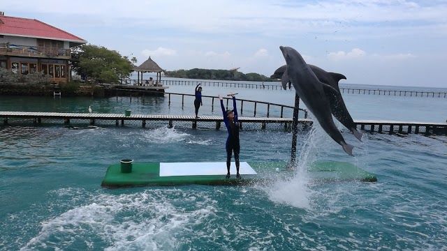 Oceanario Islas del Rosario