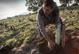 Las Moradas de San Martin