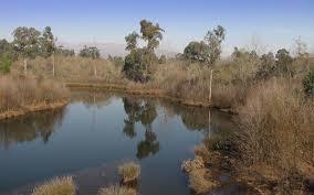 Laguna de Bertiandos y São Pedro de Arco
