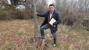 La Dehesa de Cobeña