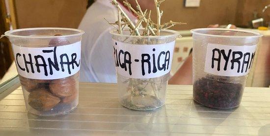 Heladería Tierra de Sol