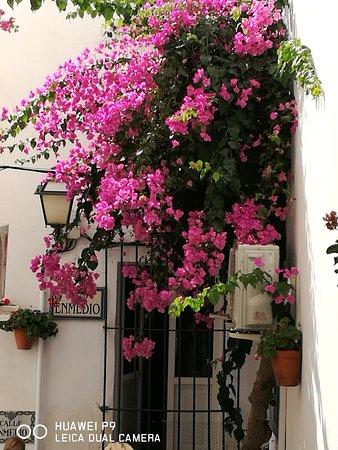 El Mirador Bar Cafeteria