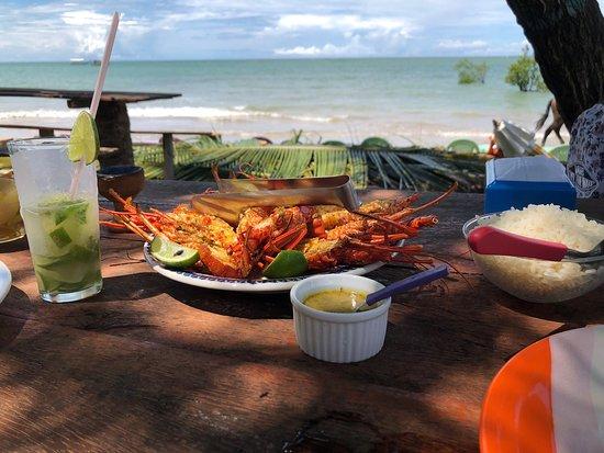 Barraca do Dig Murphy