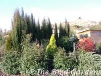 El Jardi dels Ocells