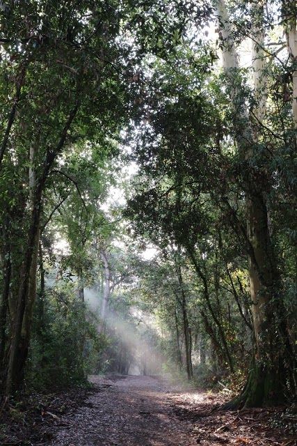 Ente parco Nazionale del Circeo