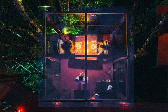 San Lucas Treetop Dining Experience