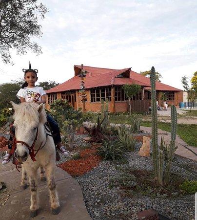 Cerro Murillo Restaurante