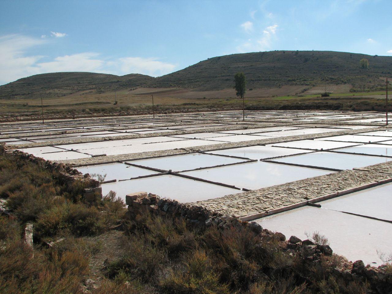 Salinas de Imón