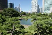Kyu Shiba Rikyu Garden