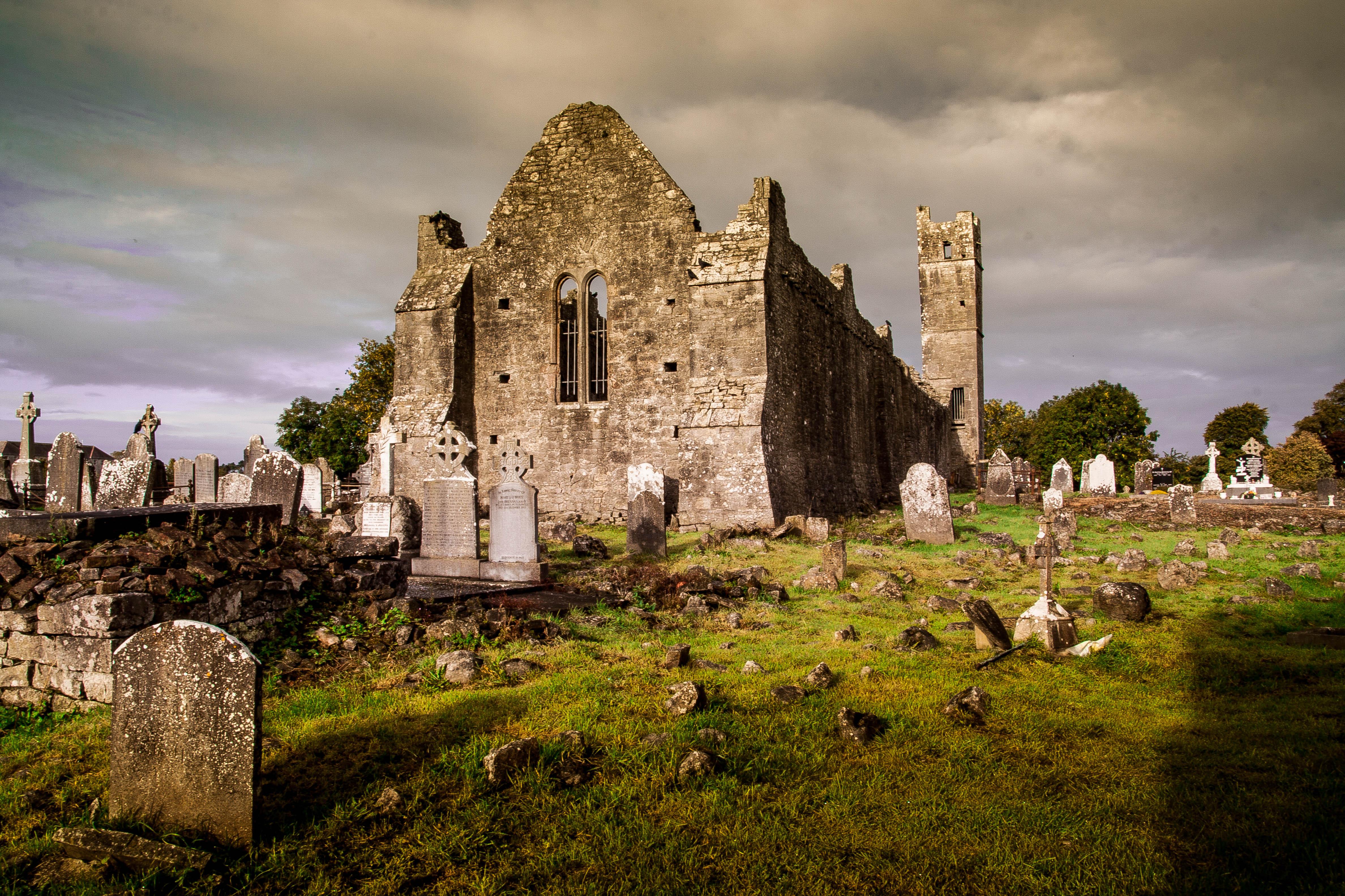 Mungret Abbey
