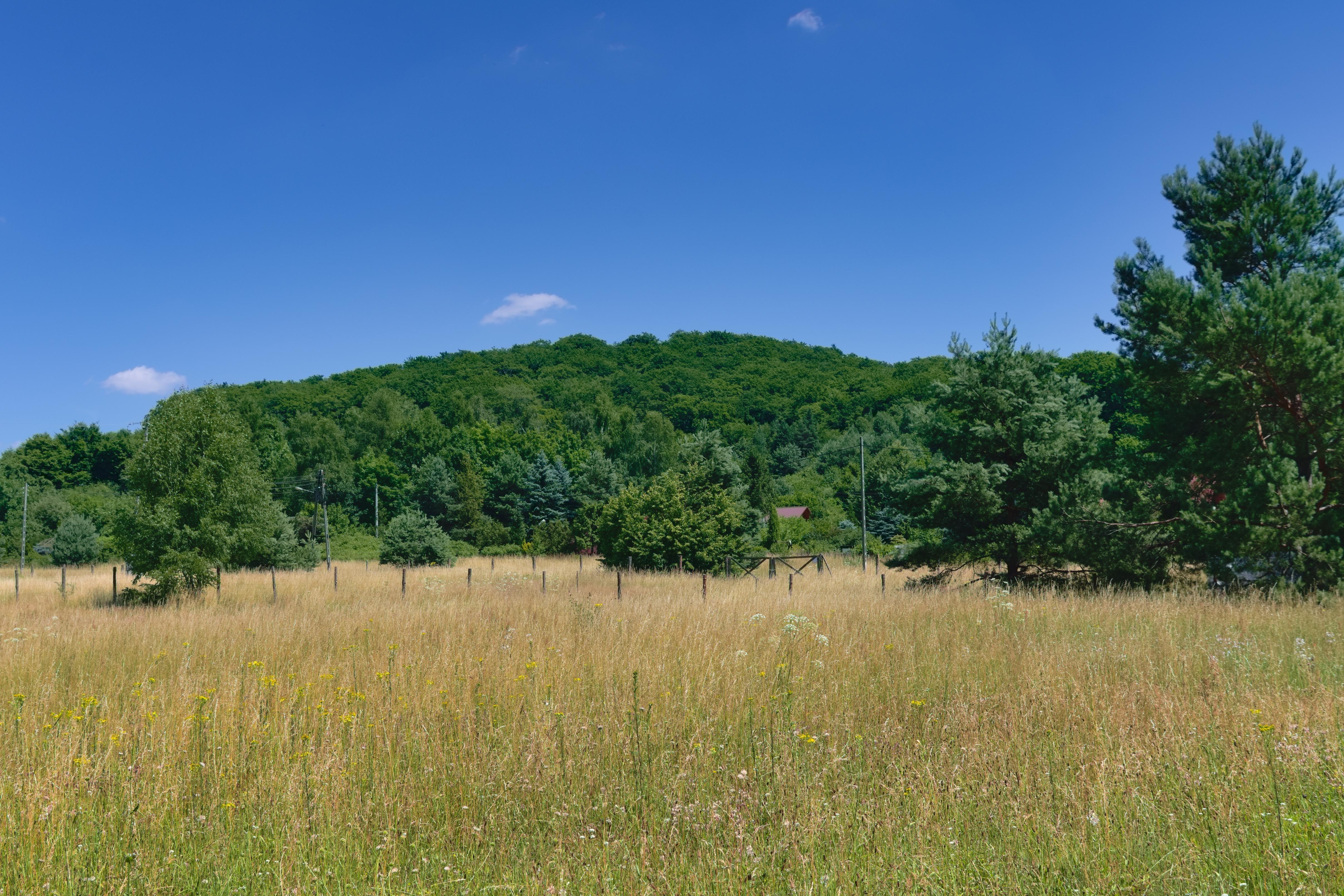 Rezerwat przyrody Gora Chelm