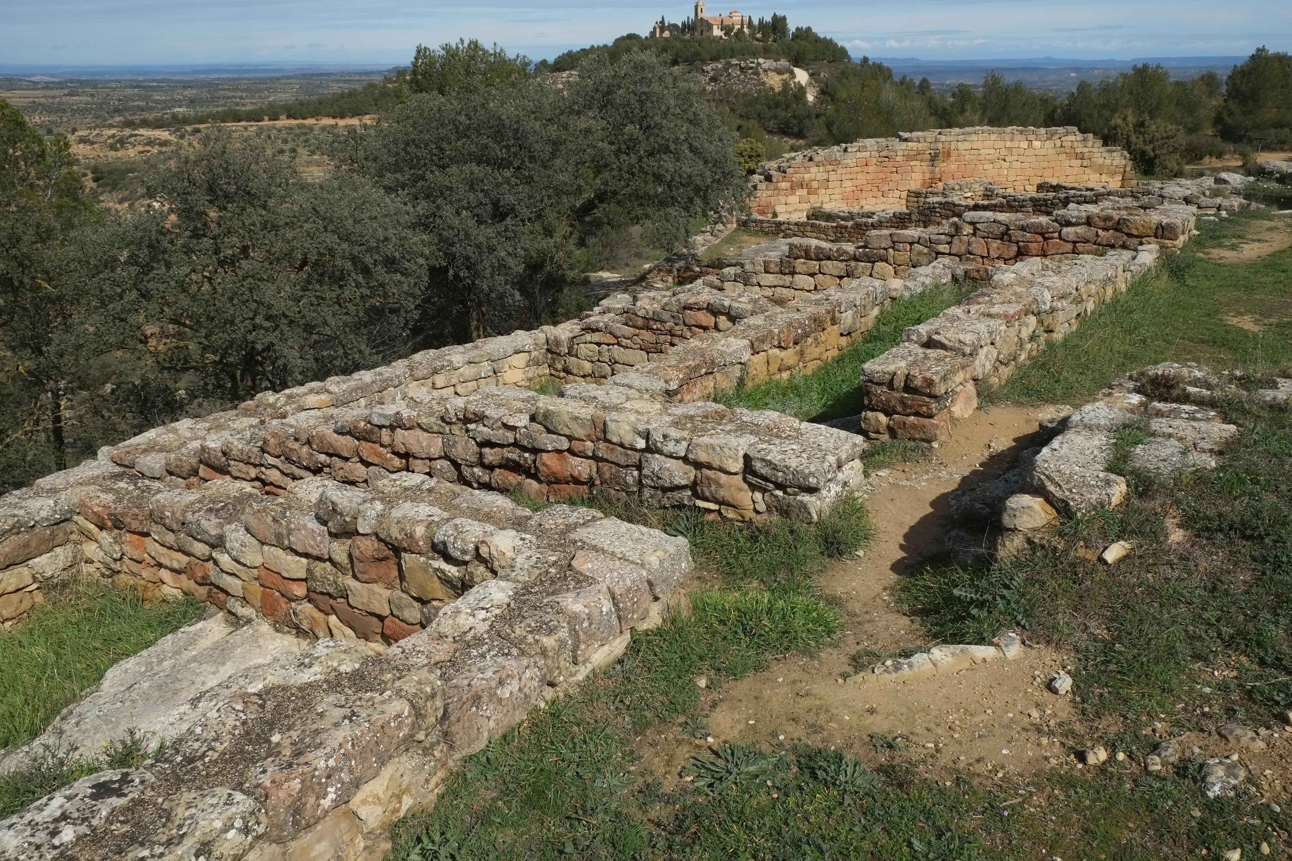 Despoblado Ibèrico de san Antonio