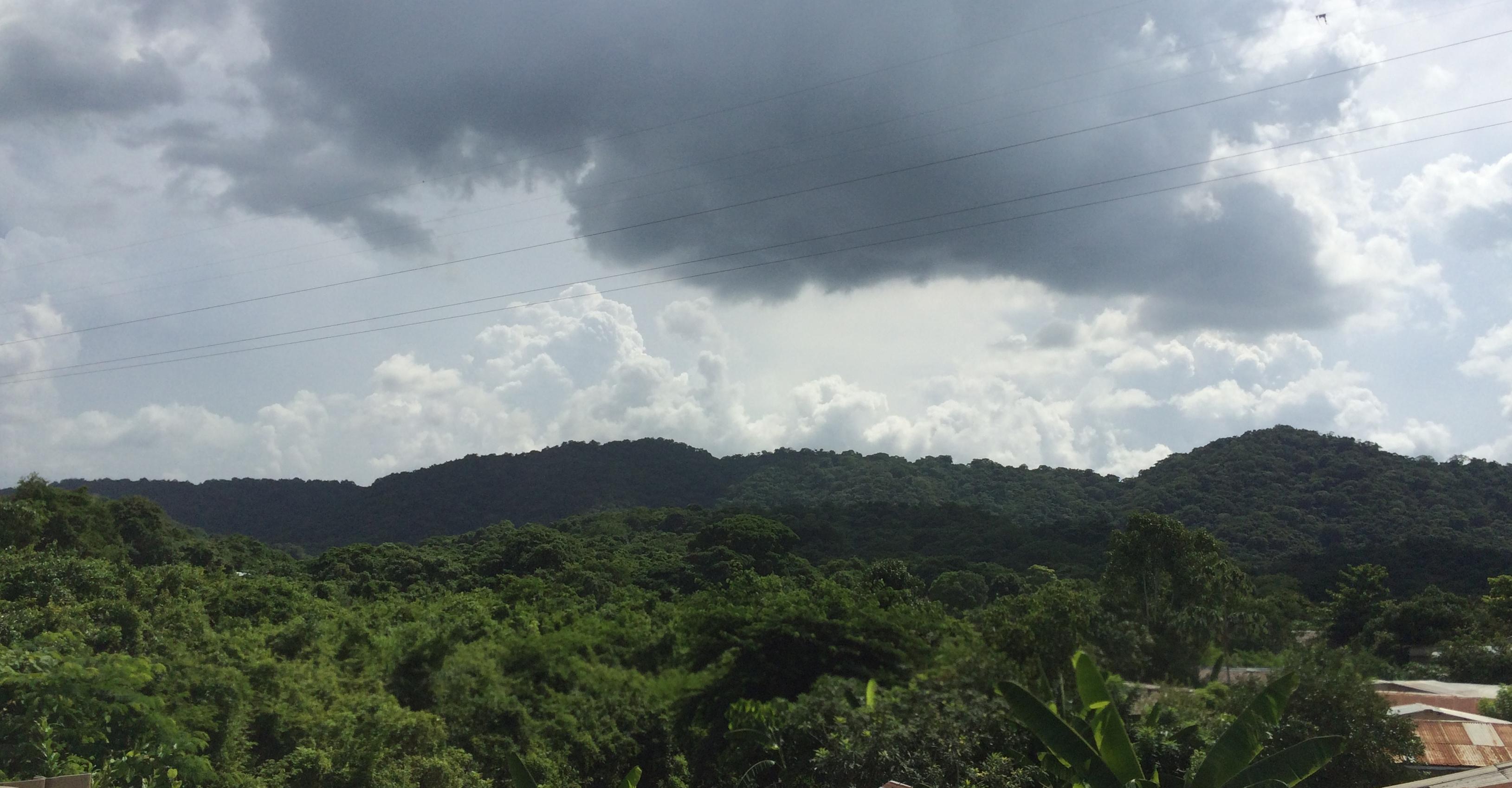 Santuario de fauna y flora Los Colorados