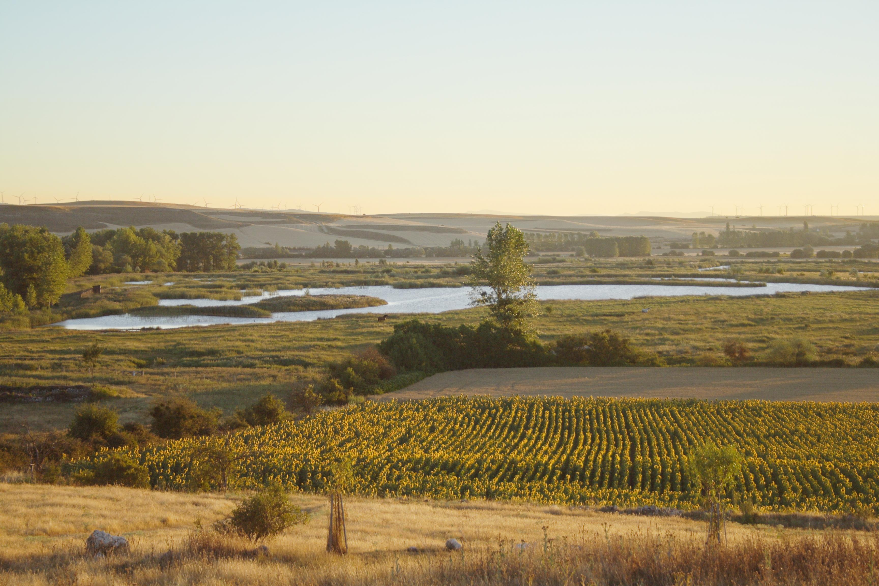 Lagunas de Atapuerca