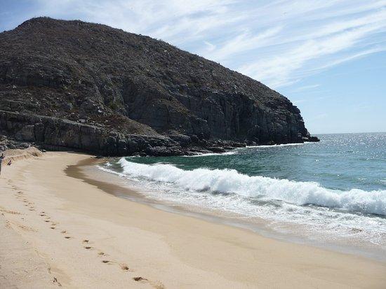 Playa Punto Lobos