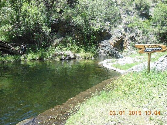 El Bosque Encantado de Don Otto