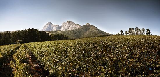 Backsberg
