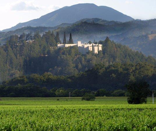 Viñedos Sterling