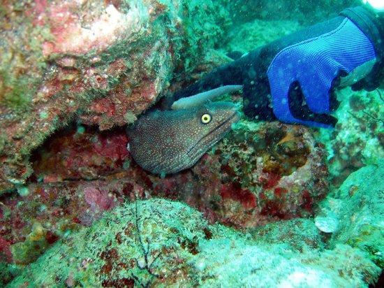 Gary's Dive Shop