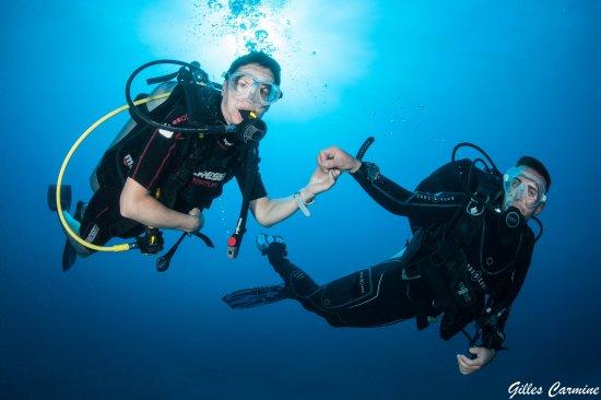 Turtle Dive Center