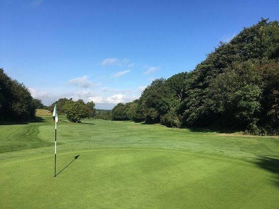 Club de golf Tall Pines