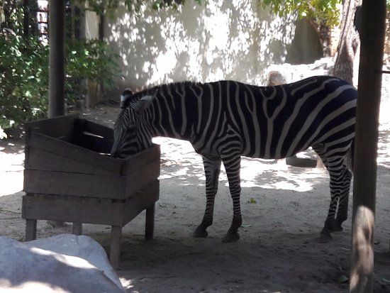 Zoológico de Barranquilla