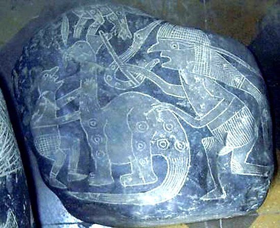 Museo Científico Javier Cabrera