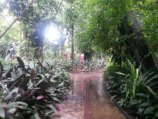 Jardín de las Orquídeas