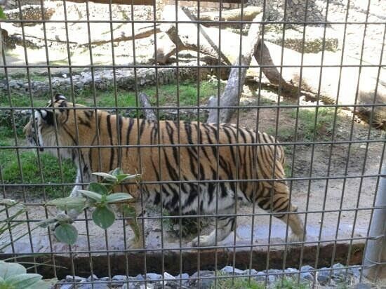 Zoológico de Sorocaba