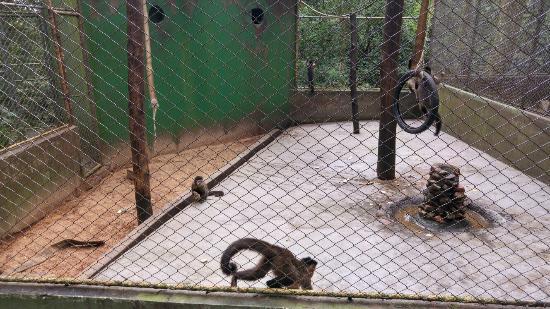 Zoológico Municipal de Cascavel