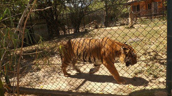 Parque Zoológico y Botánico Bararida