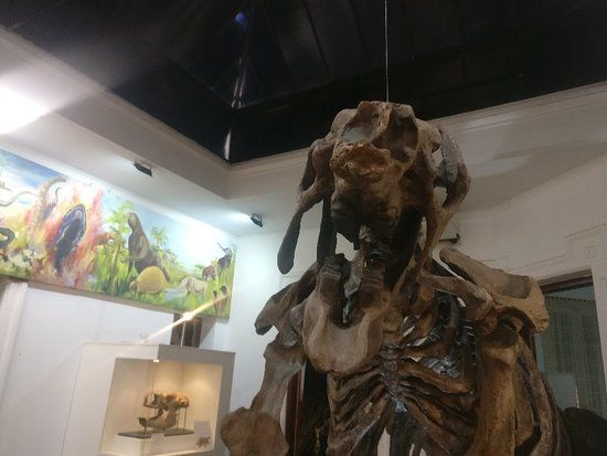 Museo de Antropología y Ciencias Naturales