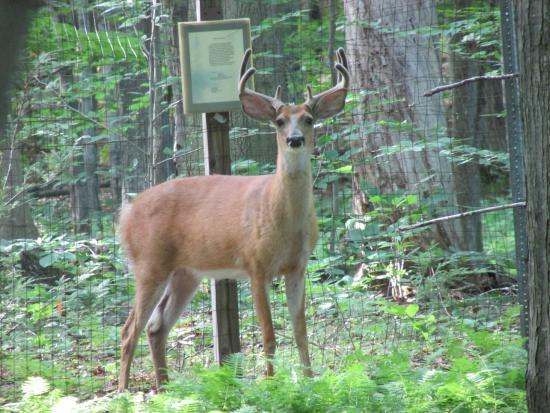 Reinstein Woods Nature Preserve and Environmental Education Center