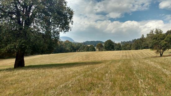 Nepopualco Parque de los Venados