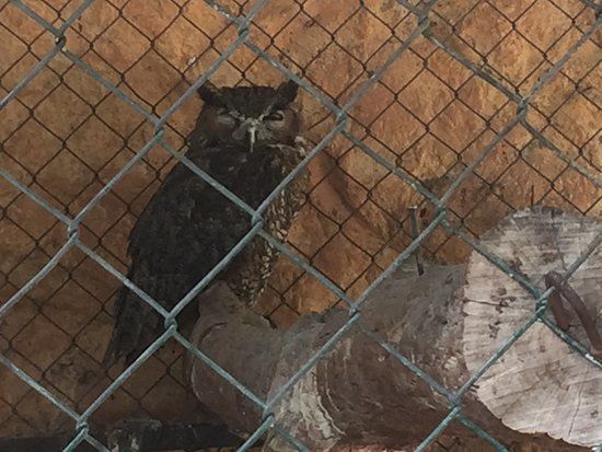 Zoológico Zoochilpan