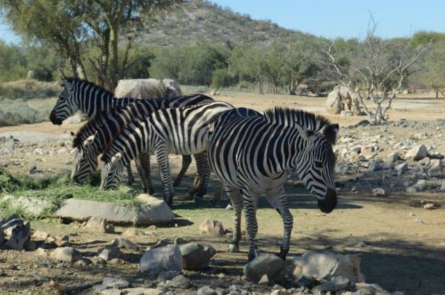 Centro Ecológico de Sonora