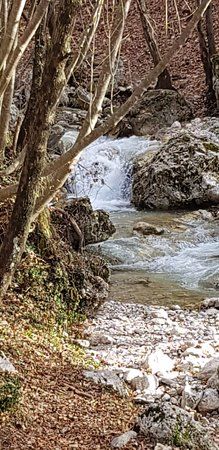 Sorgenti Di Capofiume